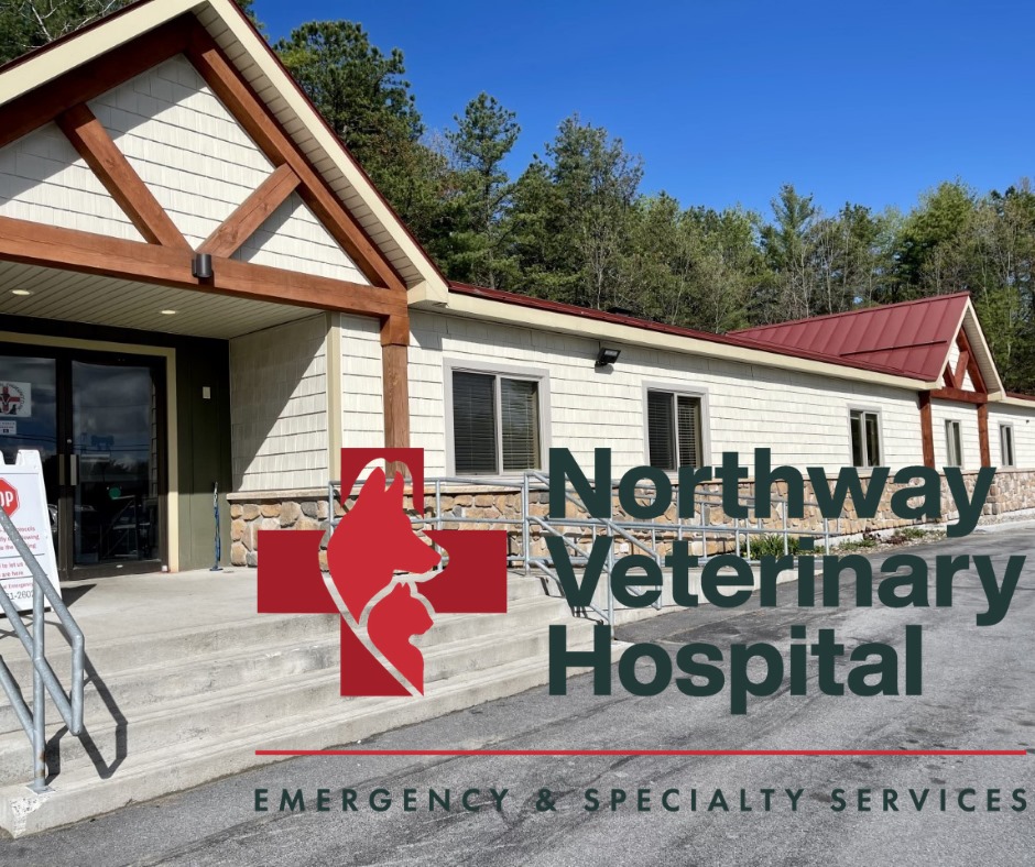 Northway Veterinary Hospital Emergency and Specialty Services