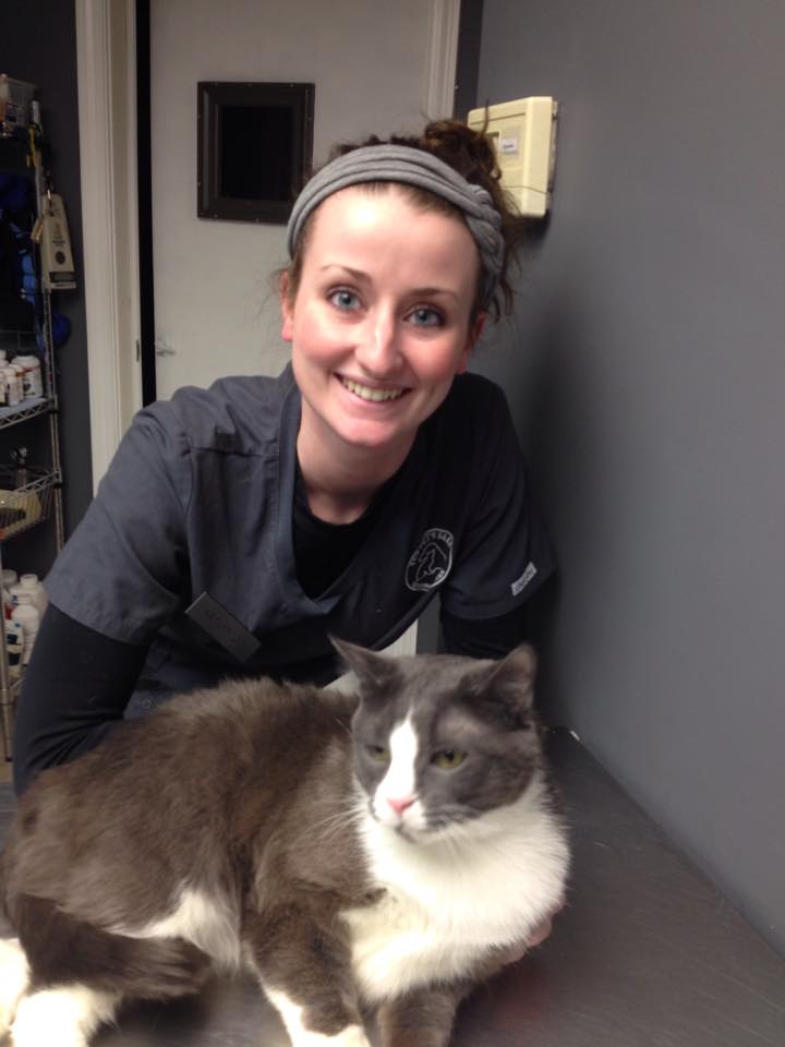 For Pet S Sake Veterinary Center Glens Falls Ny Veterinarian