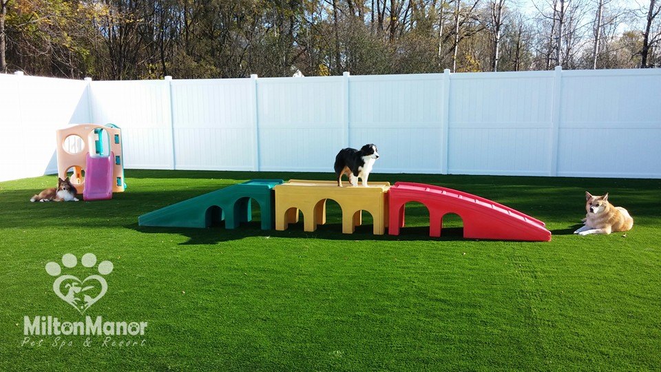 Saratoga Springs Boarding & Day Care Milton Manor Pet Resort & Spa