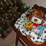 Saratoga Dog Lovers 12 Dogs of Christmas Contest!