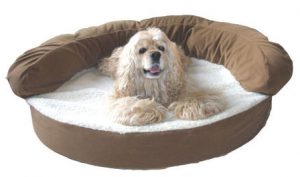 chocolate-orthopedic-dog-bed-cpc500