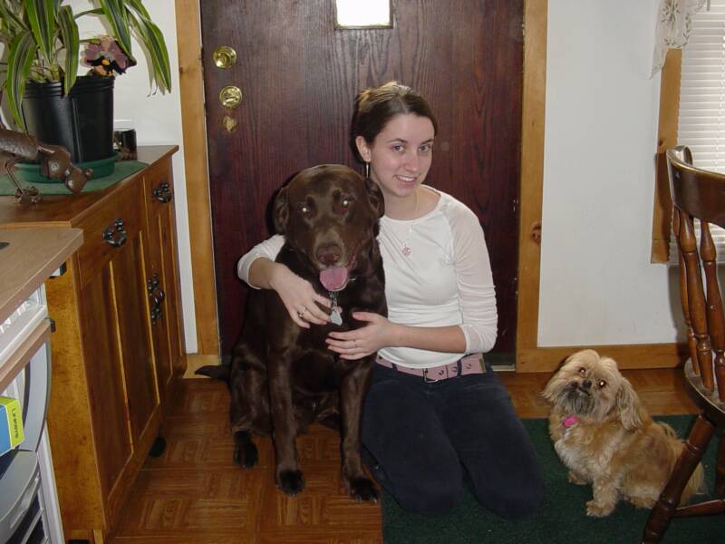 Bellyrubs Doggie Daycare & Boarding Saratoga Dog Lovers Business Spotlight