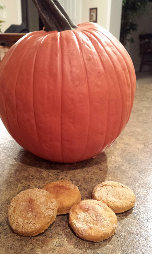 pumpkin-dog-treats