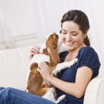 6 Reasons to Adopt a Dog