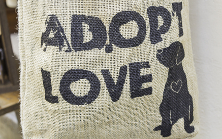 Animal Adoption