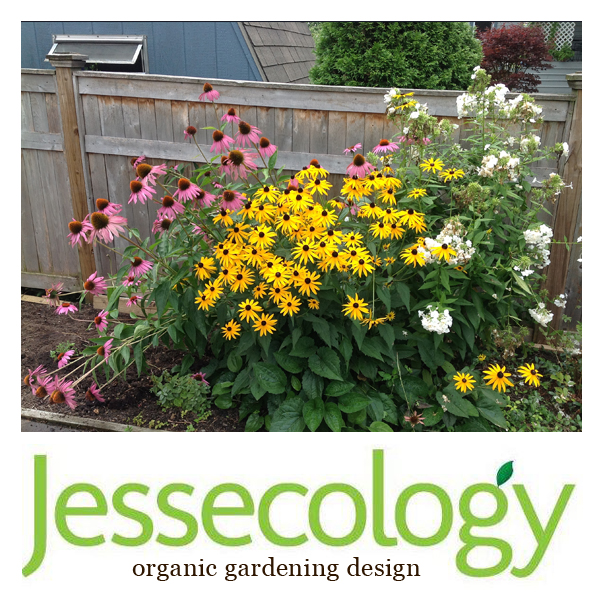 Jessecology organic landscape design saratoga springs ny