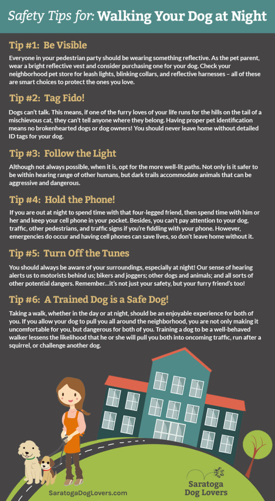 Dog-Walking-Safety-Infographic