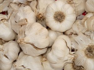 garlic toxic for dogs