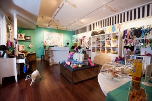mini-me-pups-boutique-inside-store