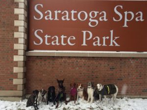 saratoga spa state park dogs