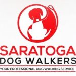 Saratoga Dog Walkers: Saratoga Dog Lovers Business Spotlight