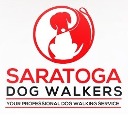 Saratoga dog walker has a big following