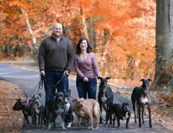 Family-photo-with-dogs-350x268