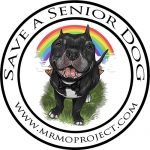 The Mr. Mo Project: Saratoga Dog Lovers Non-Profit Spotlight
