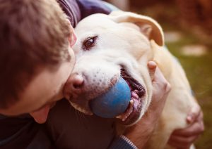 dog-lovers-prevent-dog-theft