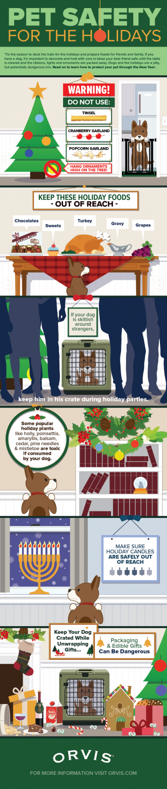 orvis-pet-safety-for-the-holidays