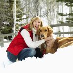 Keeping Winter Wonderland Safe for Your Dog