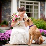 How To Include Your Dog In Your Wedding