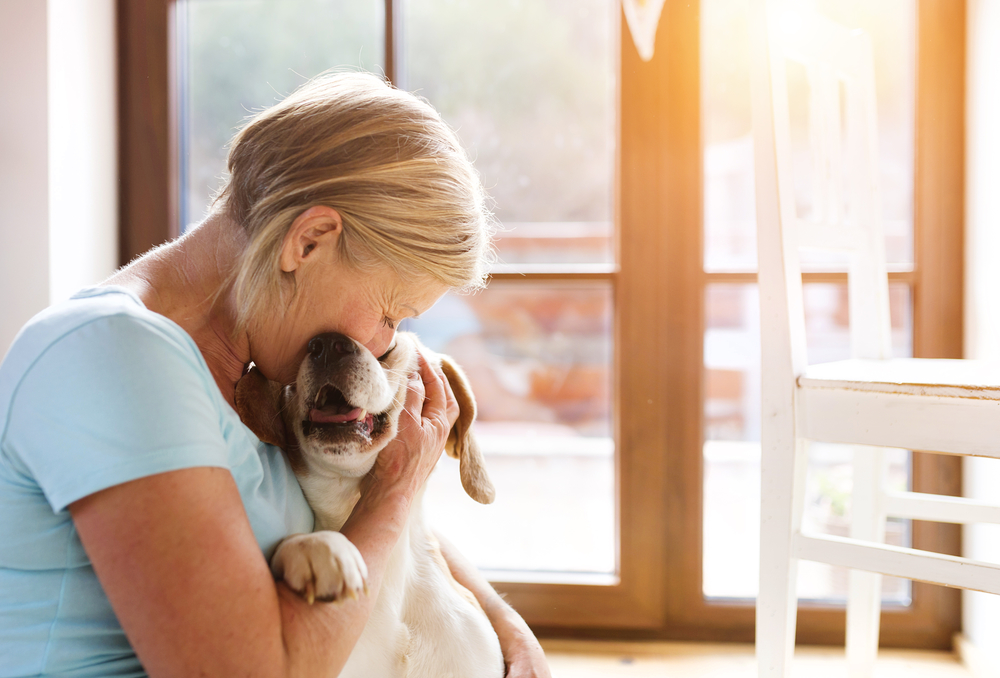 photo of a woman kissing a dog