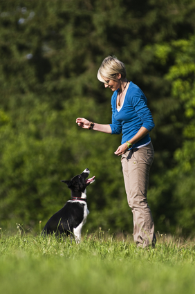 owner asking her dog to sit