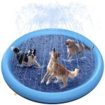 Outdoor Splash Sprinkler Pad & Pool for Dogs Product Review