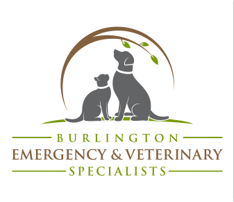 Burlington Emergency & Veterinary Specialists logo