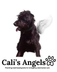 Cali’s Angels logo