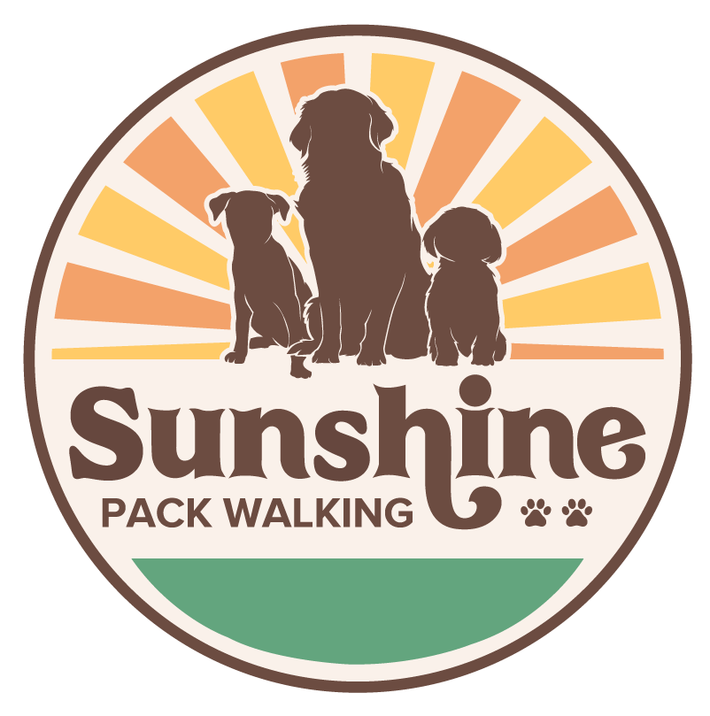 Sunshine Pack Walking