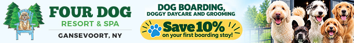four dog resort and spa banner ad